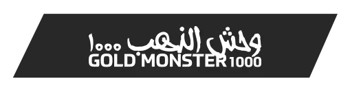 duzce-minelab-gold-monster-1000